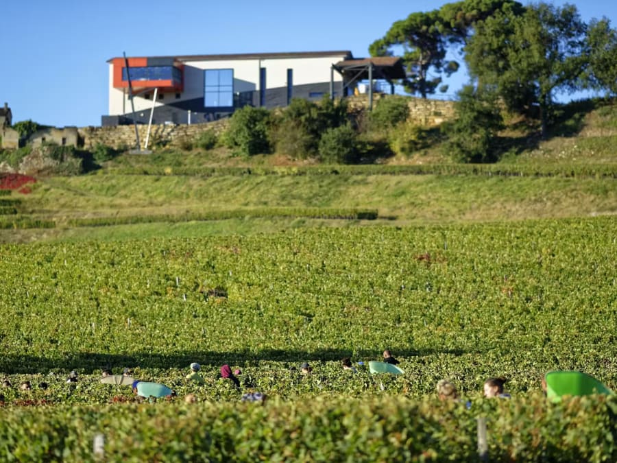 Visite guidée + dégustation de vin au Château La Croizille (33)