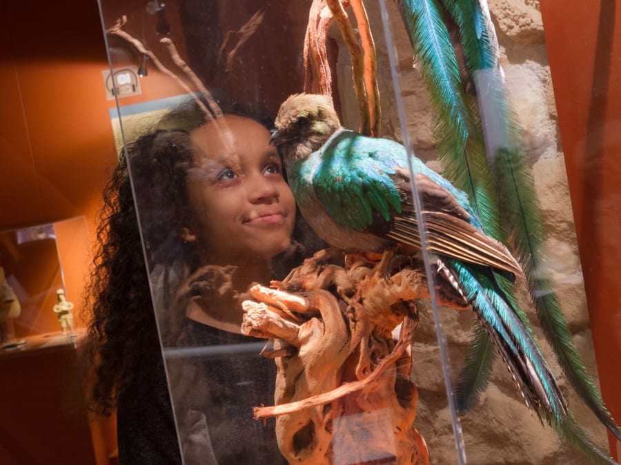 Visite du Musée du chocolat et Atelier création à Colmar (68)