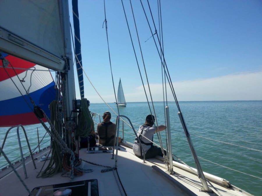 Sortie en mer matinée à La Rochelle (17)
