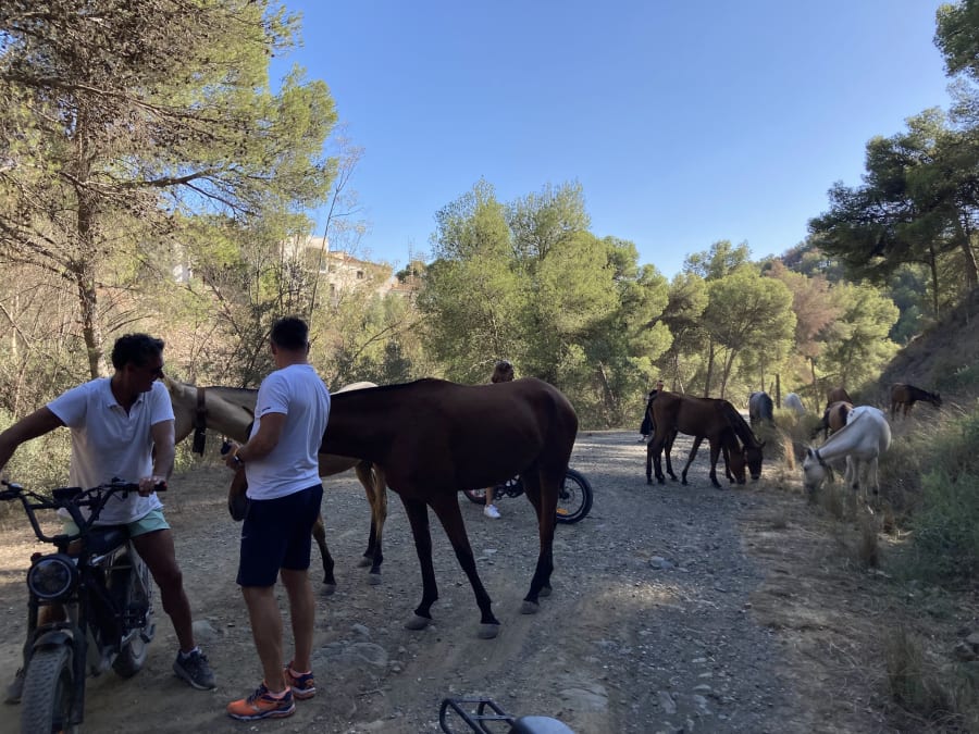 E-FAT-Fahrradverleih für 4 Stunden: Trails und Ausblicke auf Málaga