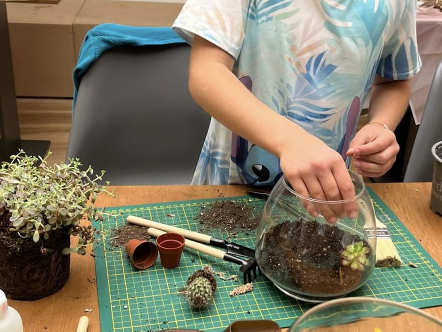 Atelier création d'un terrarium à Lagny-sur-Marne (77)