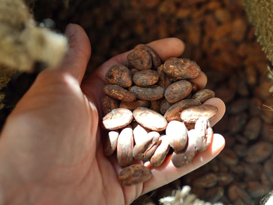Team Building création tablette de chocolat à Gallargues(30)