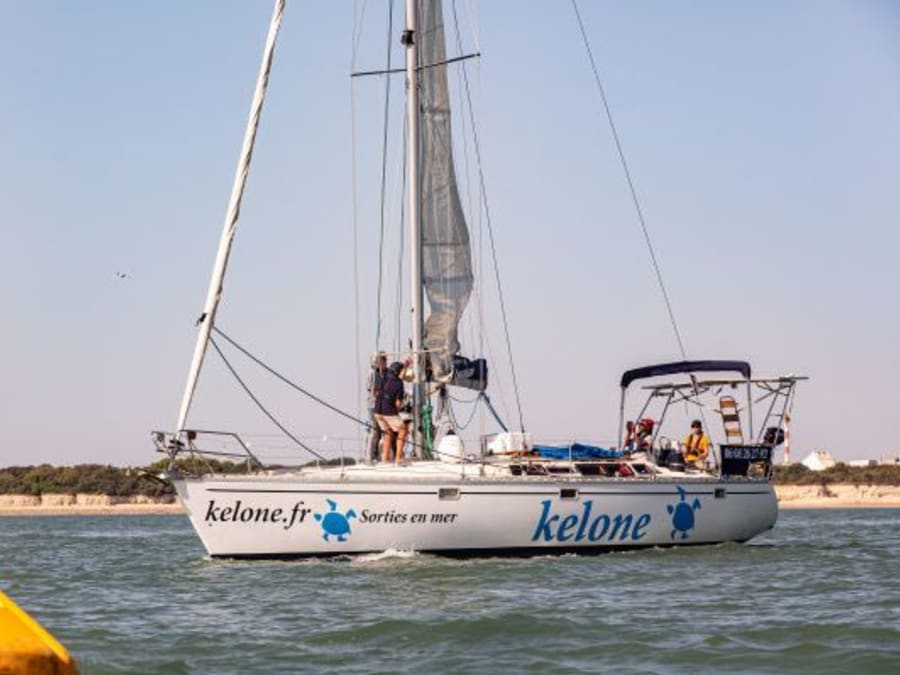 Sortie en mer matinée à La Rochelle (17)