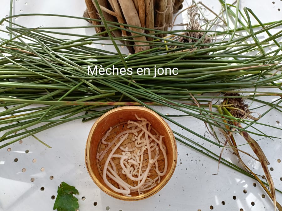 Atelier fabrication de bougie à Toulouse (31)