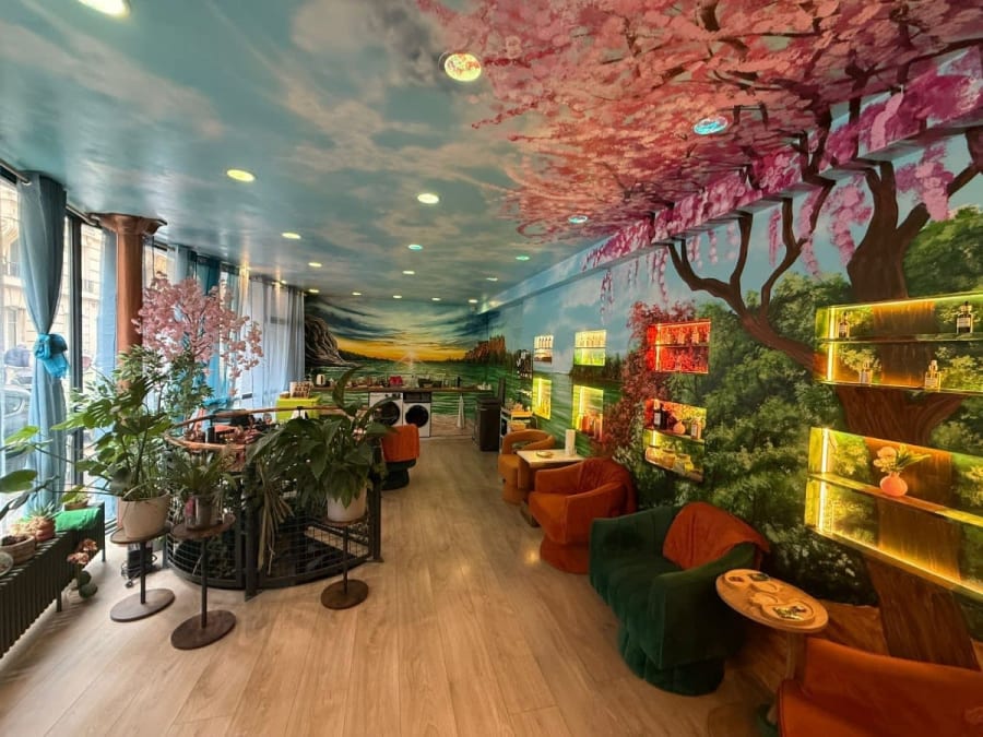 Head Spa in het 14e arrondissement van Parijs
