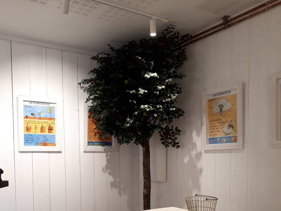 Apple juice workshop & Visit to Ferme de Gally Saint-Denis