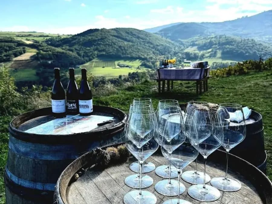 Journée découverte du métier de vigneron à Montmelas (69)