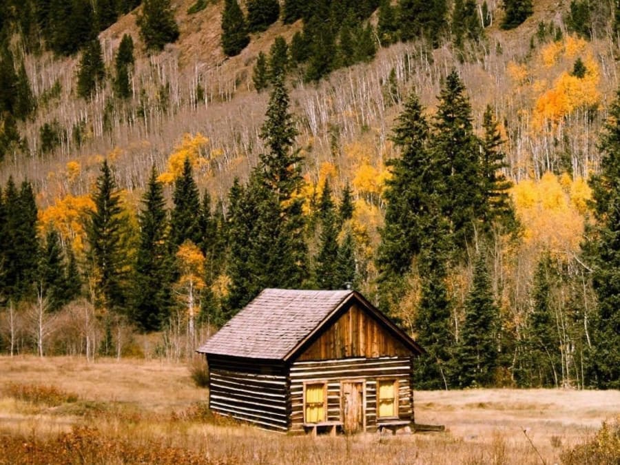 Escape Game La cabane de Kodawe au Parc Floral