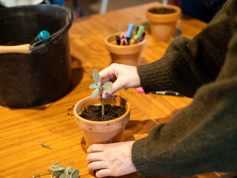 Team Building atelier végétal et mocktails près de Lyon (69)