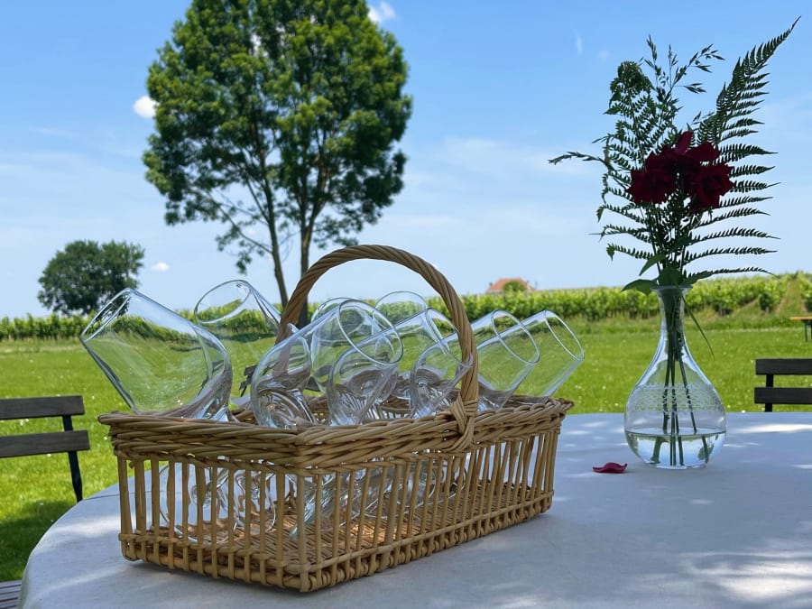 Tarde de visita y degustación en Saint-Emilion (33)