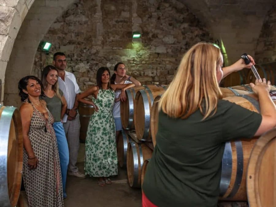 Visita a la bodega y cata privada en Saint-Christol (34)