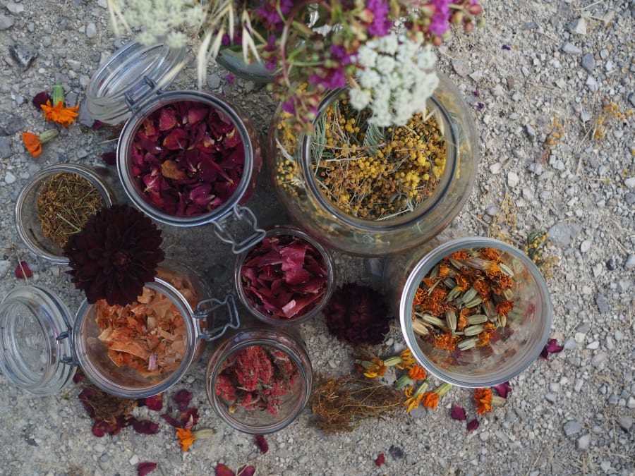 Atelier d'initiation à la teinture végétale à Montauban (82)