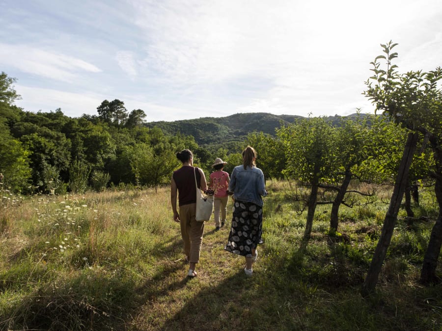 Team Building atelier cuisine "De la terre à l'assiette" (30)
