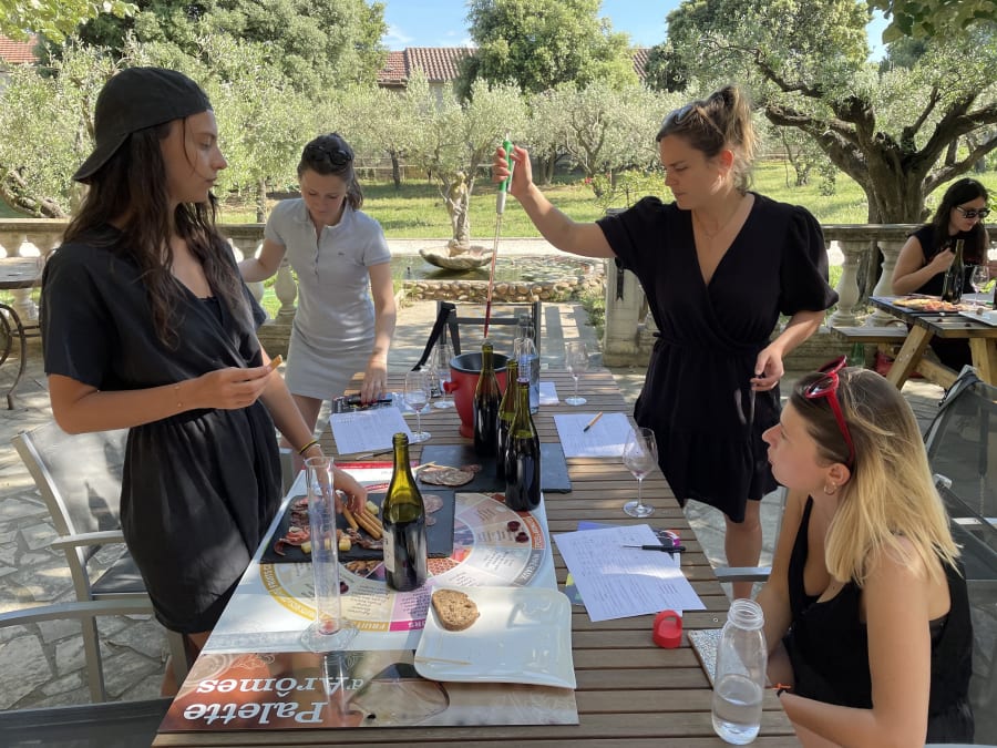 Taller de mezcla de vinos en el Château des Coccinelles (30)