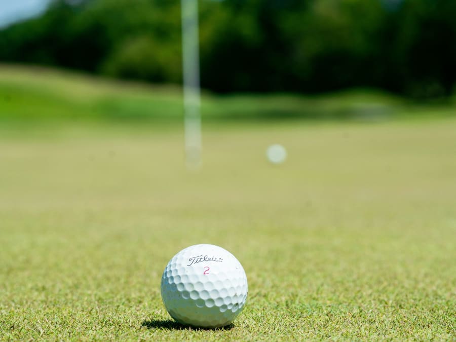 Le Swing de la Victoire à Parrot World (77)