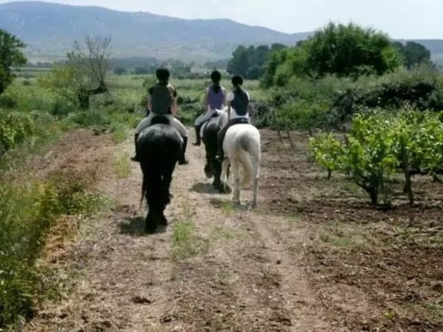 Paardrijtocht en kelderbezoek met wijnproeverij in de wijngaard van Penedès