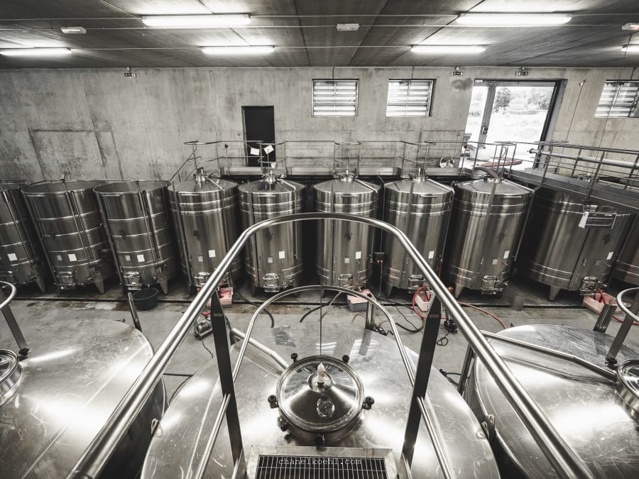 Visite découverte & dégustation au domaine P&B Couly (37)