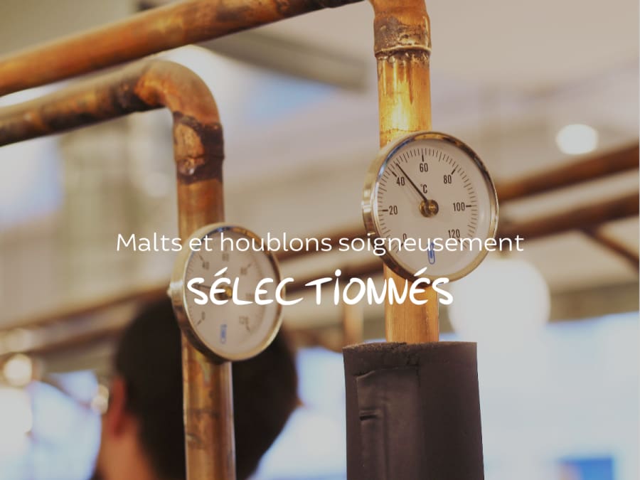 Pass  Brassage de bière | 7 ateliers en France