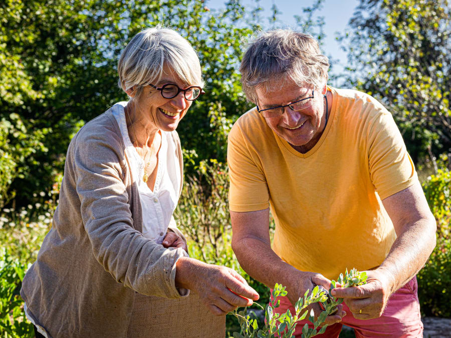 Taller de descubrimiento de la permacultura en Jarnac (16)