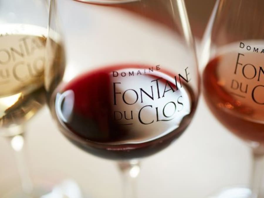 Visita a la bodega y degustación personalizada en Sarrians (84)