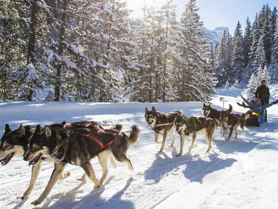 Votre séminaire clé en main à la montagne 