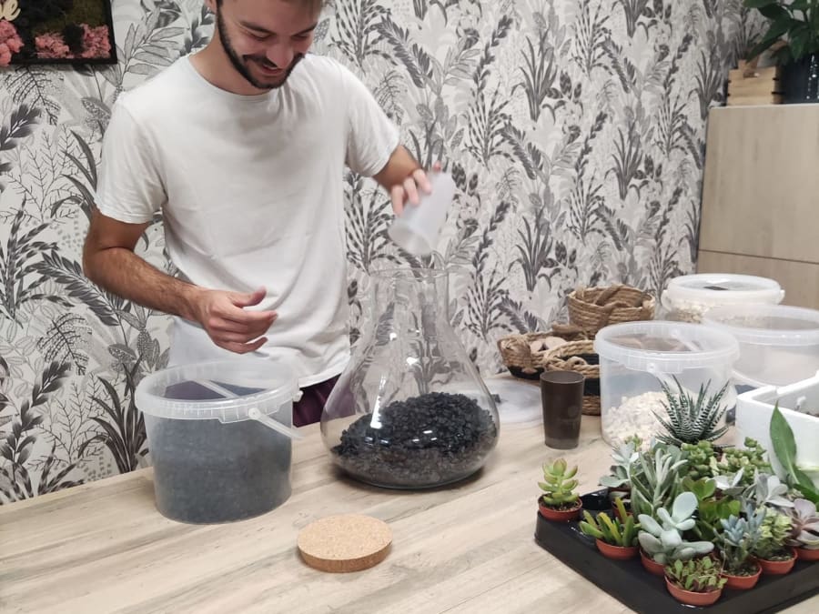 Atelier terrarium à Wasquehal (59)