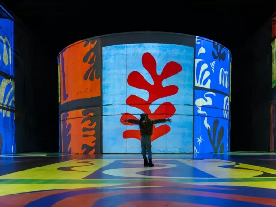 Billet pour les Bassins des Lumières à Bordeaux (33)