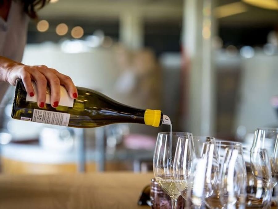 Dégustation de vins et fromages à Saint-Jacques-de-Compostelle