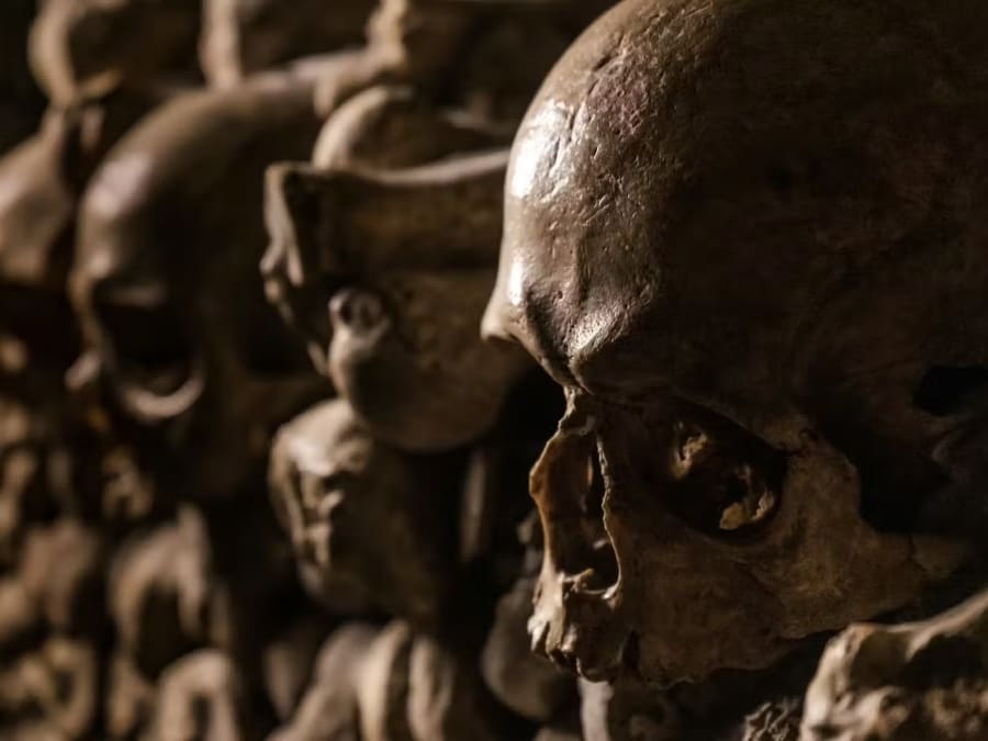 Billets pour les Catacombes de Paris + audioguide