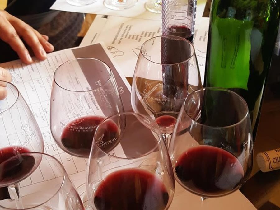 Private tour of Cognac distilleries and Bordeaux vineyards