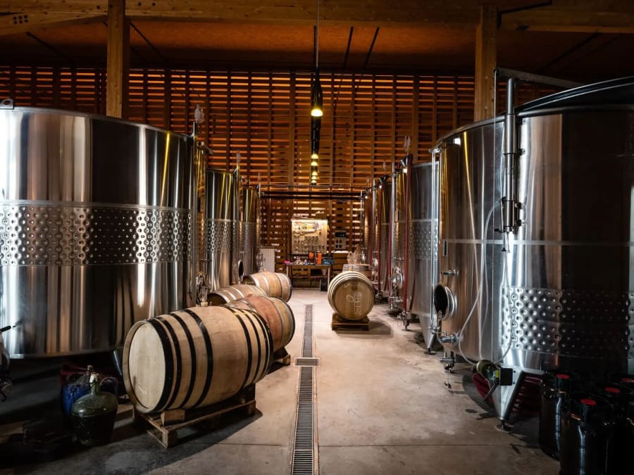 Visite d'une Cave et la dégustation de vins au domaine Achillée 