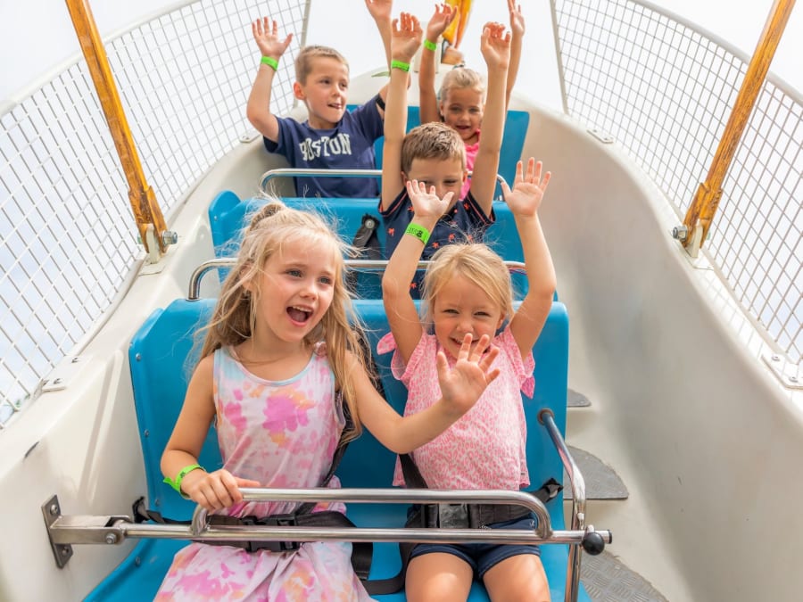 Entradas para Jungle City en Bélgica