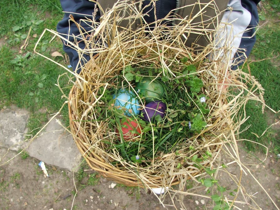 Chasse aux Oeufs à la Bergerie Nationale de Rambouillet (78)