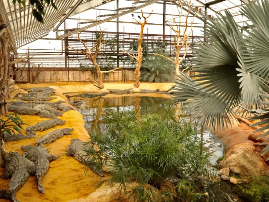 Entradas para el criadero de cocodrilos de Pierrelatte (26)