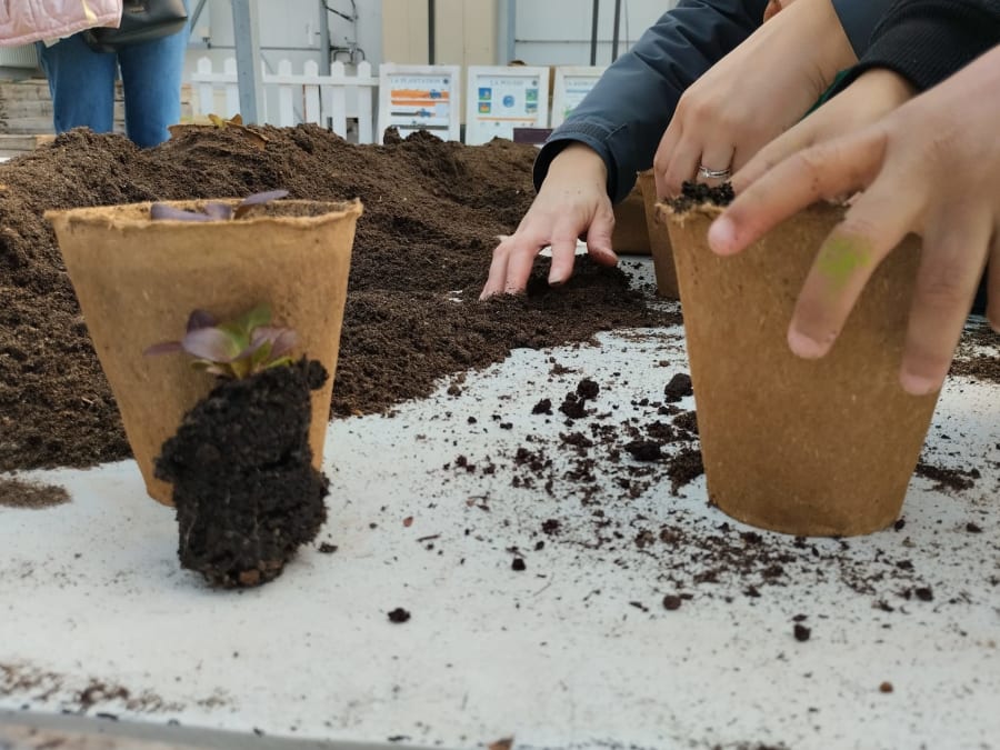 Egg festival at the St Denis Open Farm