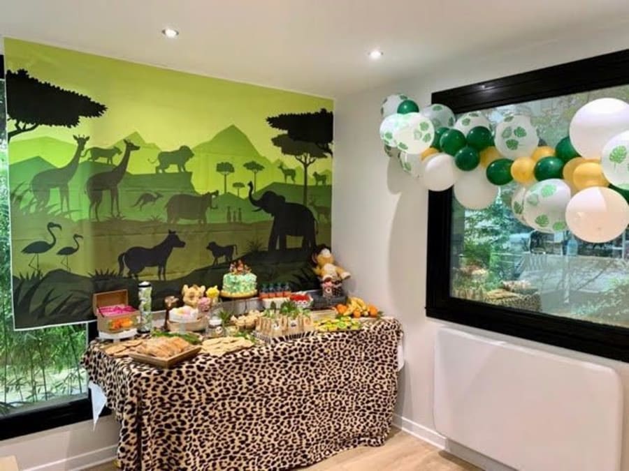 Anniversaire Héros & Dessins Animés au choix à Paris 16ème