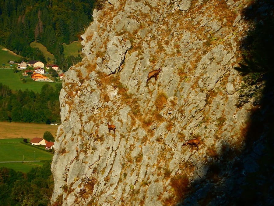 Via ferrata de Thônes (74)