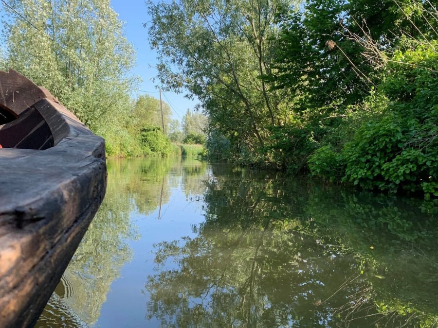 Crucero gastronómico en Clairmarais (62)