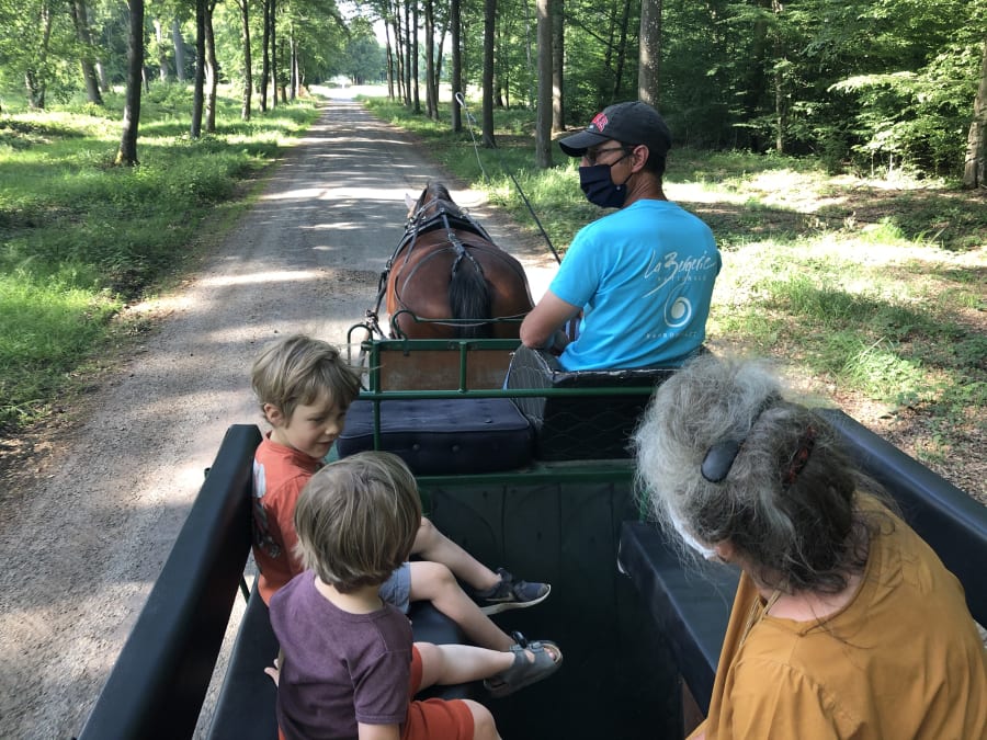 Horse-drawn carriage ride at the Bergerie Nationale de Rambouill