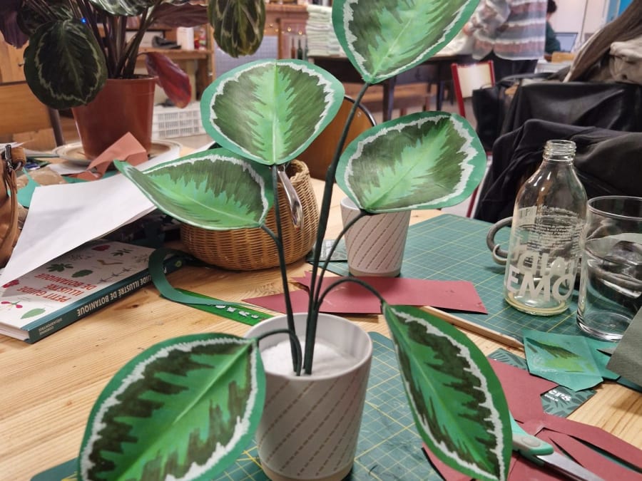 Taller de creación de plantas de papel en Villeurbanne (69)