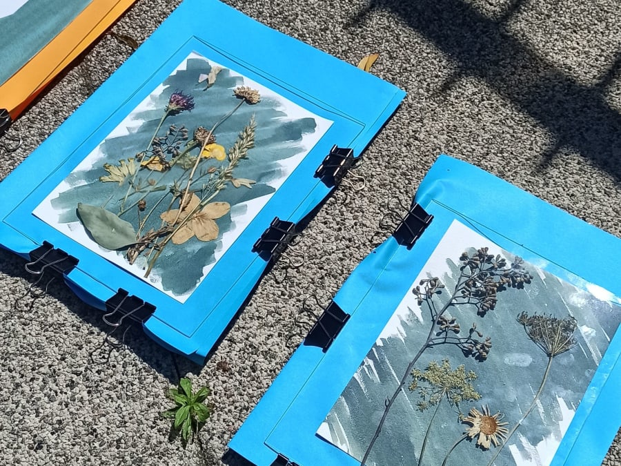 Atelier cyanotype à Strasbourg (67)