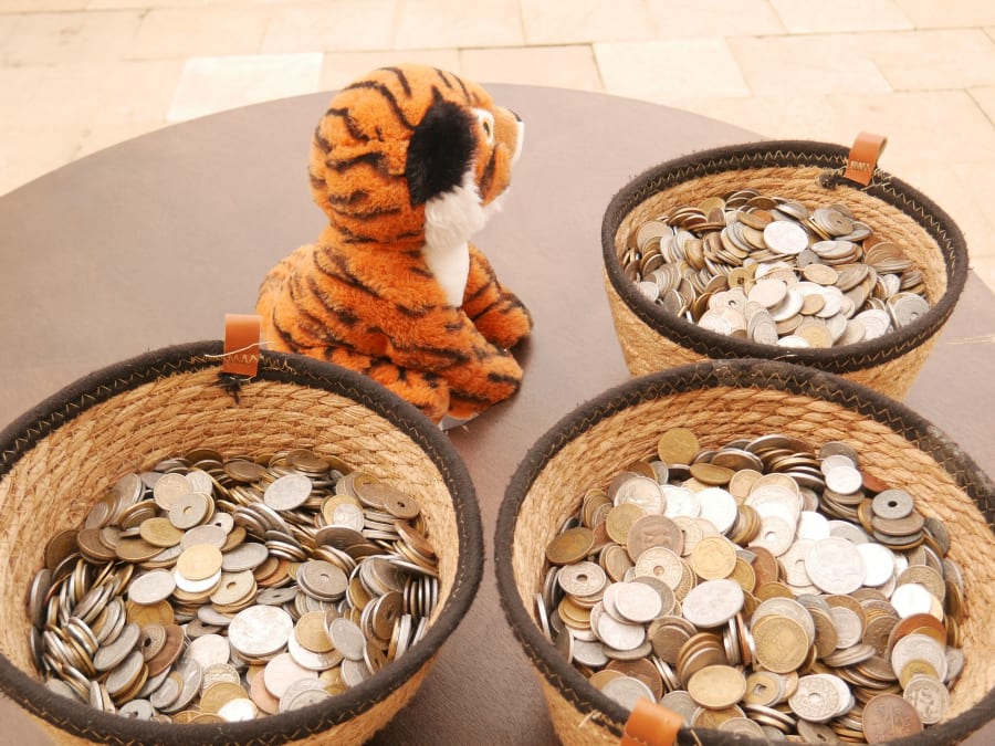 Team Building  "Fort Gaillard" sur votre lieu