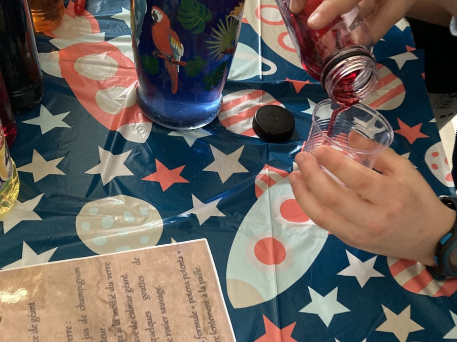 Anniversaire Harry Potter 7-11 ans à domicile IDF et Oise
