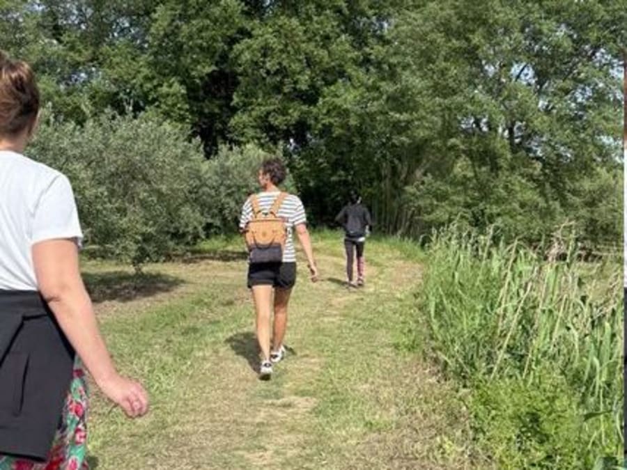 Visite de domaine et dégustation de vins  à Pézenas (34)