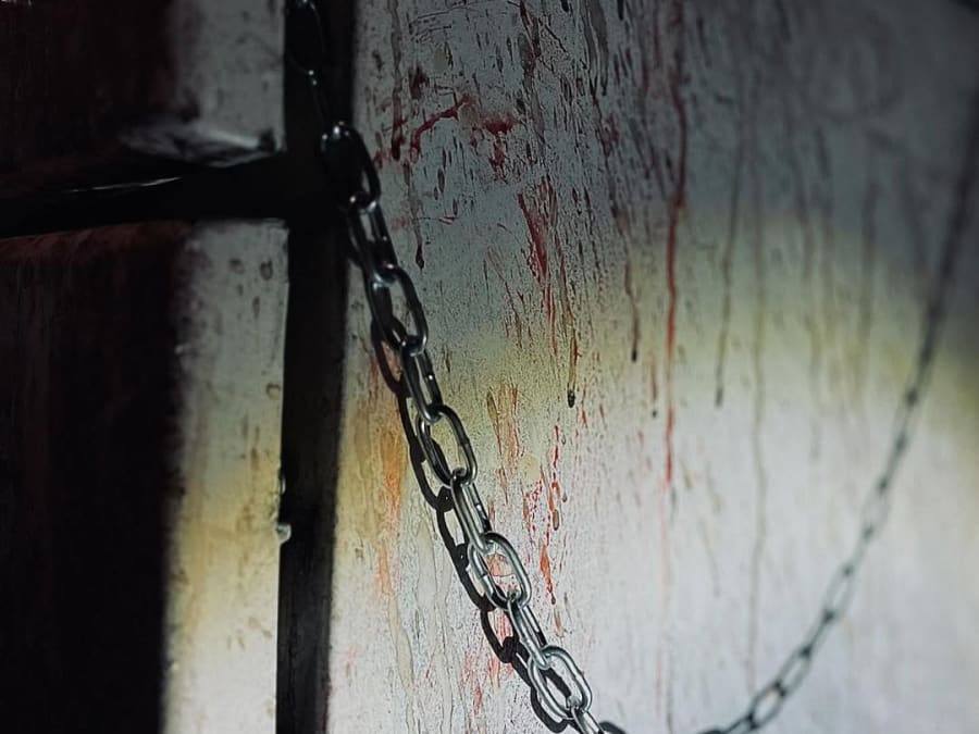 Horror Escape Game "La Créature" in Nancy (54)