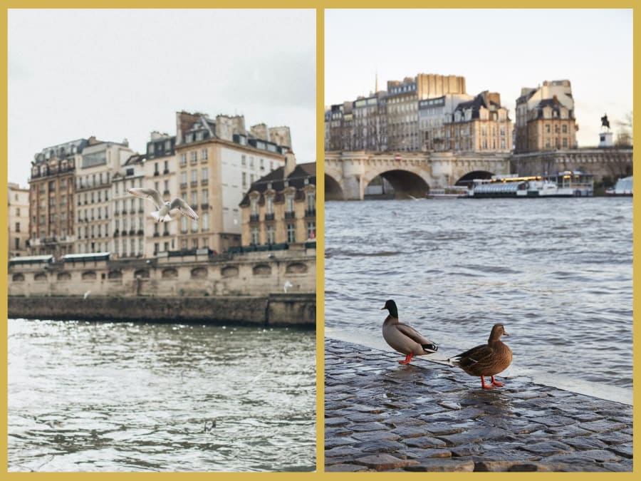 Romanticism in film and history in Paris" guided tour