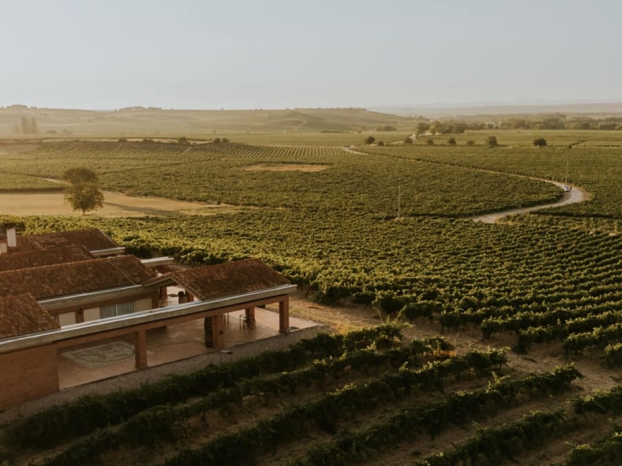 Visite des caves Durón avec dégustation de 3 vins et apéritif