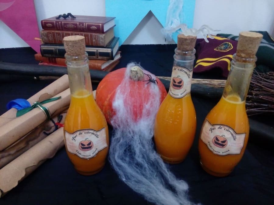 Anniversaire Harry Potter 6 à 12 ans à domicile (59 & 62)