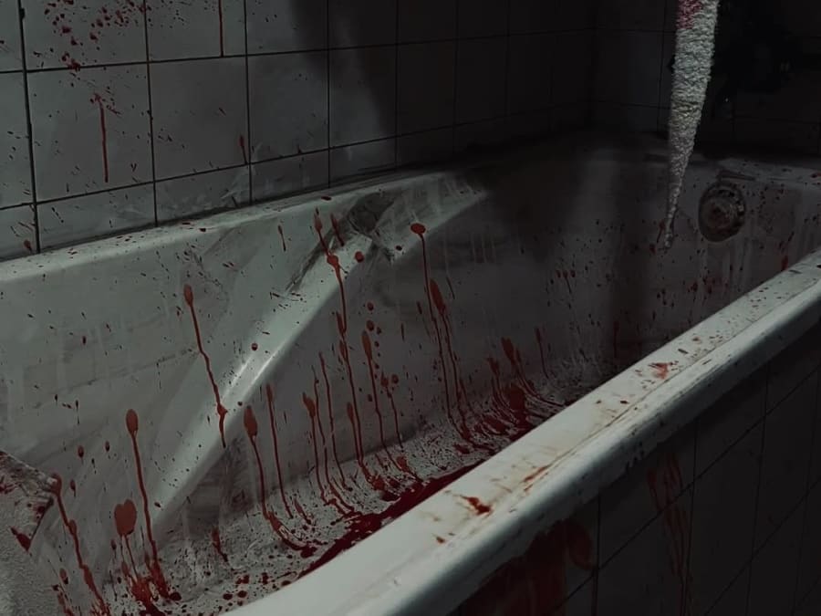 Horror Escape Game "Amy" in Nancy (54)