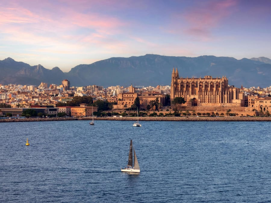 Palma de Mallorca: 3-hour boat tour to see dolphins, swim, and snorkel
